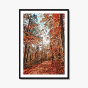 Knoxville Colorful Poster Print No 3, Knoxville Photo Art, Knoxville Decor, Knoxville Travel Print, Knoxville Street Map Poster, City Map