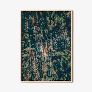 Aerial Forest Colorful Poster Print, Aerial Forest Photo Wall Art, Wall Art Boho Decor, Photography Poster Print, Colorful Wall Art