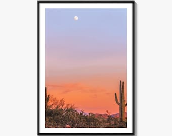 Tucson Fine Art Photo Print, Arizona, Saguaro National Park Wall Decor