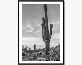 Arizona Black and White Fine Art Photo Print, Sonoran Desert Saguaro Cactus Tucson Poster