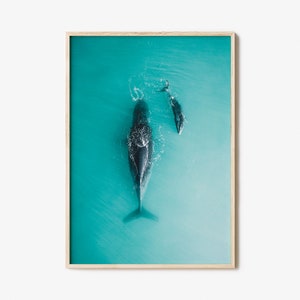 Whale Colorful Poster Print No 3, Whale Photo Wall Art, Wall Art Boho Decor, Photography Poster Print, Colorful Wall Art