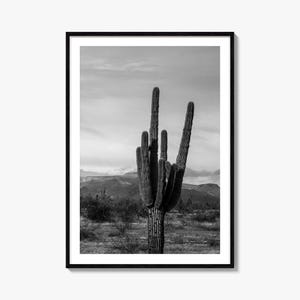Phoenix fotoposter print nr. 1, Phoenix zwart-witte muurkunst, Phoenix muur fotografie, Phoenix reizen, Phoenix kaart poster