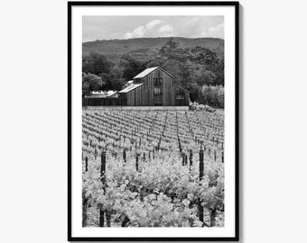 Napa Valley Black and White Fine Art Photo Print, Vineyards California Poster