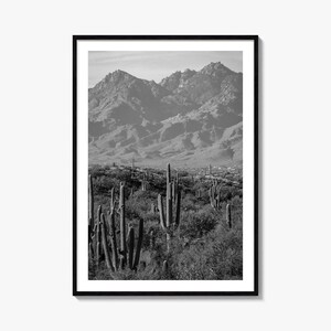Saguaro Nationalpark Foto Poster Druck Nr. 1, Saguaro Nationalpark Schwarzweiß Kunst, Wand Fotografie, Reise, Karte Poster