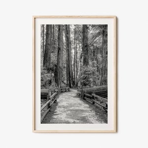 Muir Woods National Monument Photo Poster Print, Muir Woods National Monument Black and White Art, Photography, Travel, Map Poster