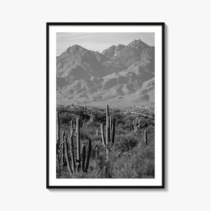 Saguaro National Park Photo Poster Print No 1, Saguaro National Park Black and White Art, Wall Photography, Travel, Map Poster