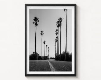 Photographie d'art en noir et blanc d'Elysian Park, Los Angeles, Californie - Décoration murale