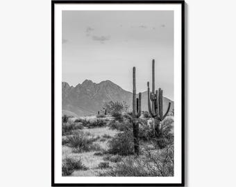 Four Peaks Arizona Skyline Black and White Fine Art Photo Print