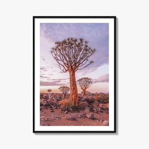 Namibia Fine Art Photo Print, Quiver Tree Forest, Keetmanshoop, Africa Wall Decor Poster