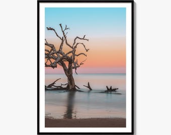 Jekyll Island Fine Art Photo Print, Driftwood Beach, Georgia Coast Wall Decor