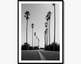 Elysian Park Black and White Fine Art Photo Print, Los Angeles, California Wall Decor
