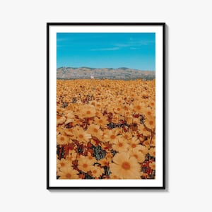 San Luis Obispo Colorful Poster Print No 2, San Luis Obispo Photo Art, San Luis Obispo Wall Decor, Travel Print, Street Map Poster, City Map