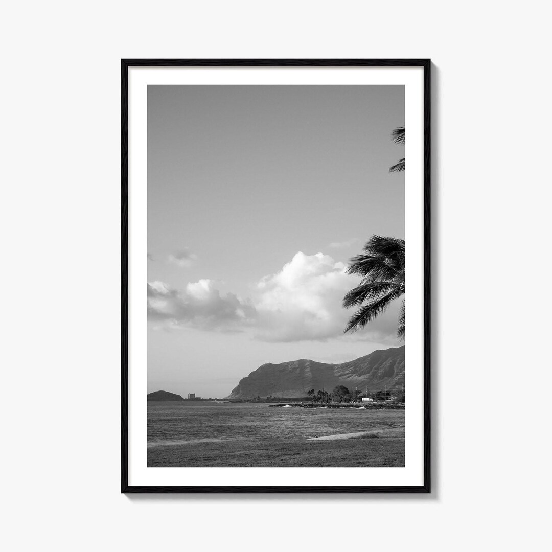 Oahu Black and White Fine Art Photo Print, Hawaii Coast Palm Trees ...