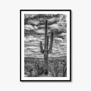 Saguaro Nationalpark Foto Poster Druck Nr. 2, Saguaro Nationalpark Schwarzweiß Kunst, Wand Fotografie, Reise, Karte Poster
