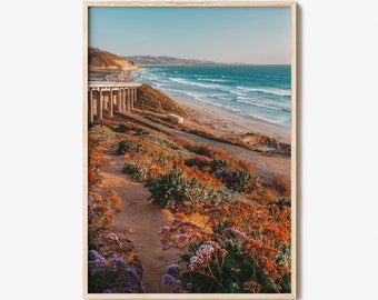 Torrey Pines Colorful Poster Print No 3, Torrey Pines Photo Art, Torrey Pines Decor, Travel Print, Torrey Pines Street Map Poster, City Map