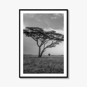 Impressão de pôster fotográfico de Savannah nº 2, arte em preto e branco de Savannah, fotografia de parede de Savannah, viagens a Savannah, pôster com mapa de Savannah