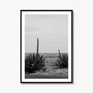 Texas Foto Poster Nr. 1, Texas Schwarzweiß Wandkunst, Texas Wand Fotografie, Texas Reise, Texas Karte Poster
