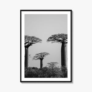 Madagascar Photo Poster Print, Madagascar Black and White Wall Art, Madagascar Wall Photography, Madagascar Travel, Map Poster