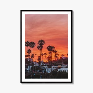 Encinitas Fine Art Photo Print, San Diego Palme Kalifornien Poster