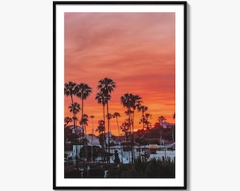 Encinitas Fine Art Photo Print, San Diego Palm Tree California Poster