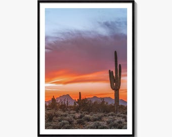 Tucson Arizona Fine Art Photo Print, Sonoran Desert Wall Decor