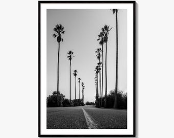 Elysian Park Black and White Fine Art Photo Print, Los Angeles California Poster