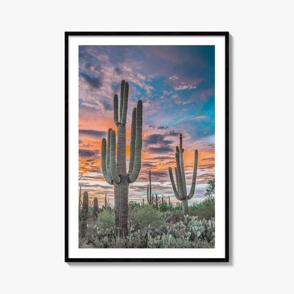 Impresión fotográfica artística del Parque Nacional Saguaro, Tucson, Arizona, EE. UU., póster de pared