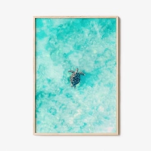 Sea Turtle Colorful Poster Print No 1, Sea Turtle Photo Wall Art, Wall Art Boho Decor, Photography Poster Print, Colorful Wall Art