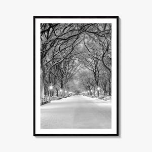 Central Park Foto Poster Druck Nr. 3, Central Park Schwarzweiß Kunst, Fotografie, Central Park Reise, Central Park Karte Poster
