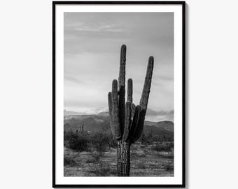 Phoenix Black and White Fine Art Photo Print, Arizona Saguaro Cactus Mountains, USA Poster