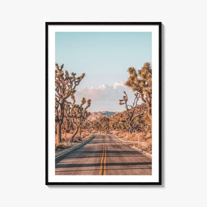 Joshua Tree National Park kleurrijke poster print nr. 2, Joshua Tree National Park fotokunst, decor, reizen print, stratenplan poster, stadsplattegrond