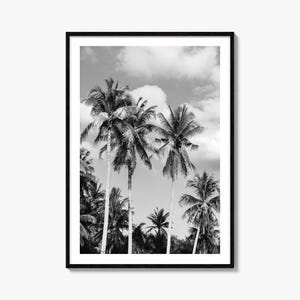 Palm Springs Foto Poster Druck Nr. 2, Palm Springs Schwarz weiß Kunst, Palm Springs Fotografie, Palm Springs Reise, Karte Poster