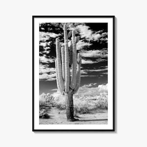Arizona Black and White Fine Art Photo Print, Saguaro National Park, Tucson Cactus Poster