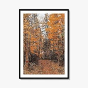 Lake Arrowhead Colorful Poster Print No 2, Lake Arrowhead Photo Wall Art, Decor, Travel Print, Lake Arrowhead Street Map Poster, City Map
