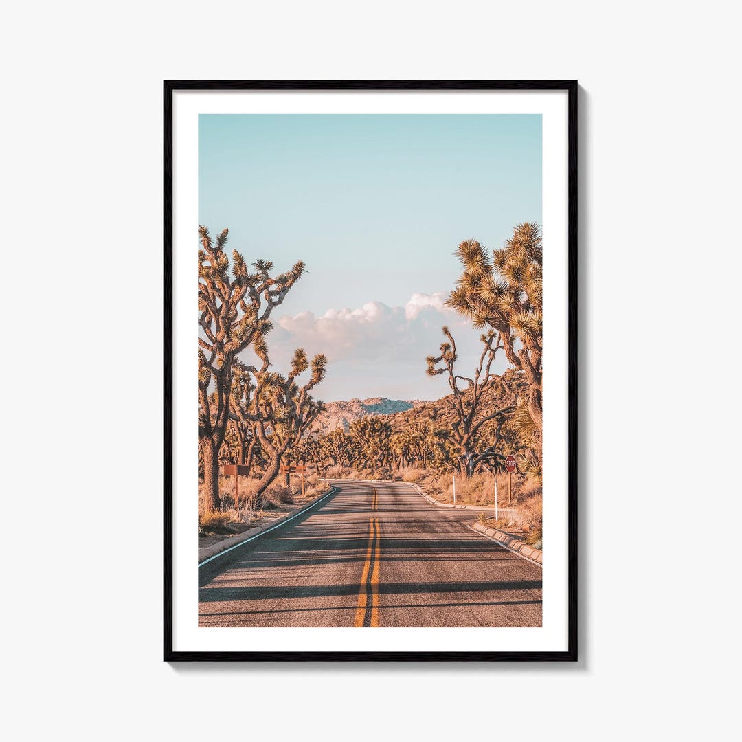 Joshua Tree National Park Fine Art Photo Print, California Desert Wall ...