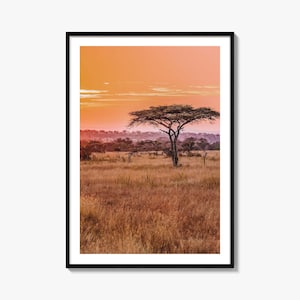 Tanzania Colorful Poster Print, Tanzania Photo Wall Art, Tanzania Wall Decor, Tanzania Travel Print, Tanzania Street Map Poster, City Map