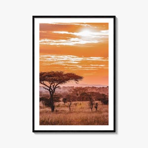 Impressão de pôster colorido da África, arte de parede com fotos da África, decoração de parede da África, impressão de viagem da África, pôster de mapa de rua da África, mapa da cidade