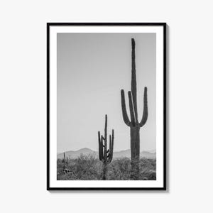 Sonora Foto Poster Druck, Sonora Schwarz Weiß Wandkunst, Sonora Wand Fotografie, Sonora Reise, Sonora Karte Poster