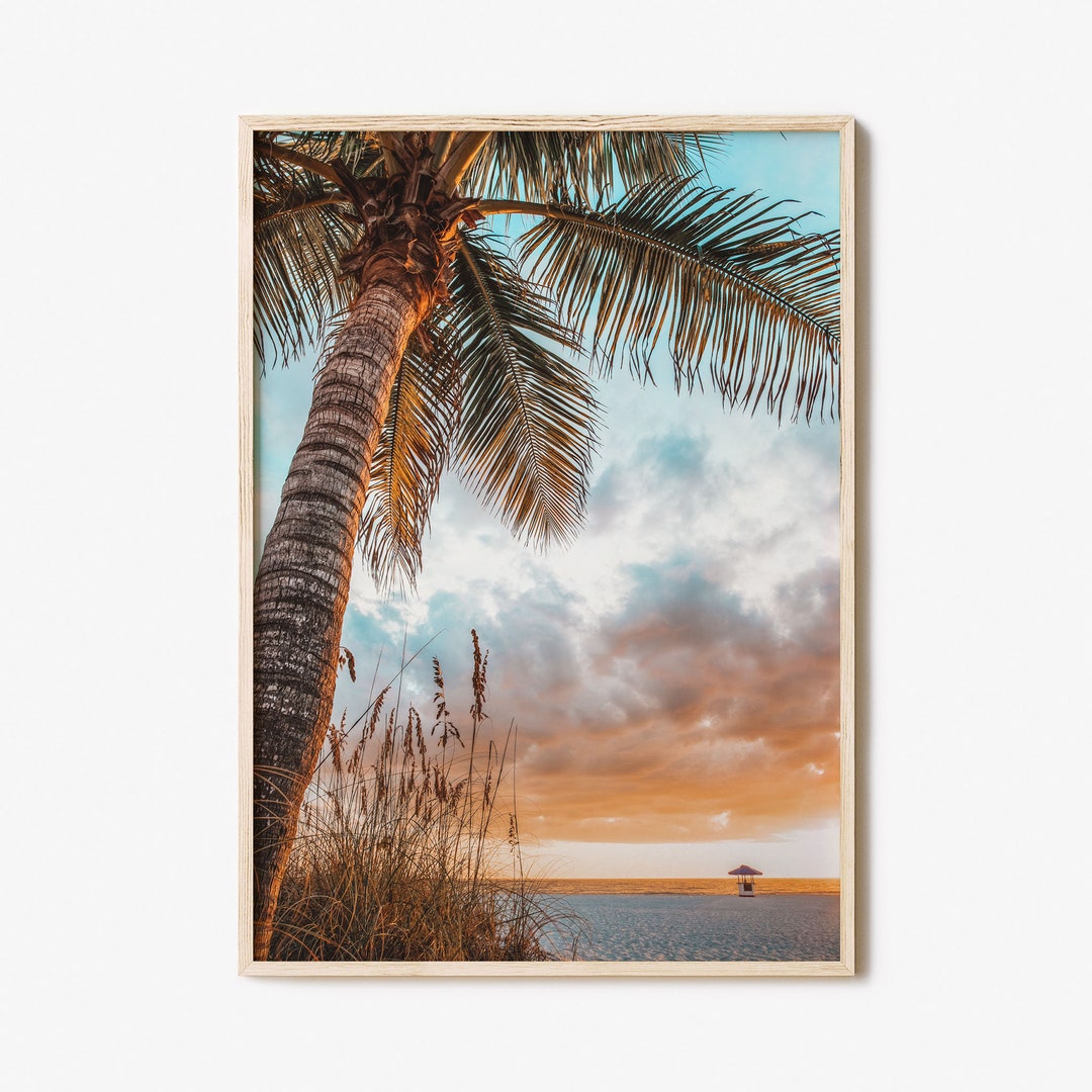 Tampa Bay Colorful Poster Print, Tampa Bay Photo Wall Art, Tampa Bay