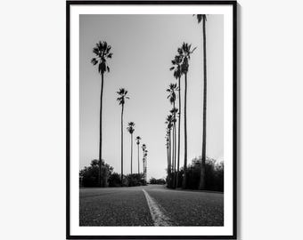 Elysian Park Black and White Fine Art Photo Print, Los Angeles, California Wall Decor
