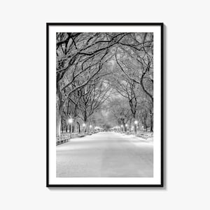 Central Park zwart-wit fine-art fotoprint, poster New York City, NYC
