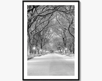 Central Park Black and White Fine Art Photo Print, New York City Poster, NYC