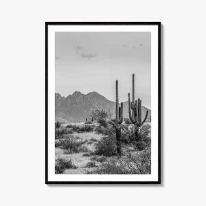 Arizona Photo Poster Print No 1, Arizona Black and White Wall Art, Arizona Wall Photography, Arizona Travel, Arizona Map Poster