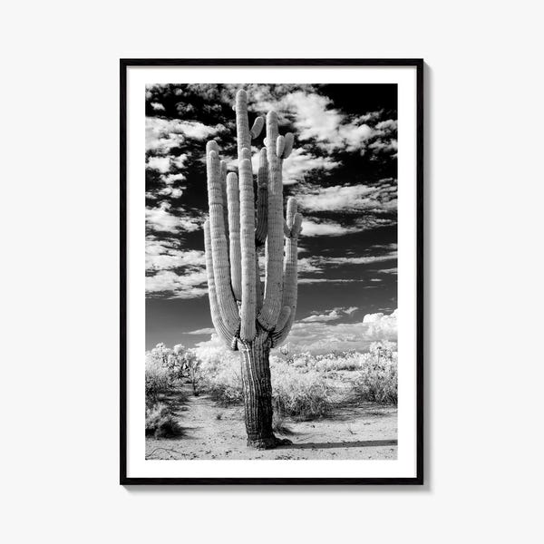 Impresión fotográfica en blanco y negro de Arizona, Parque Nacional Saguaro, Póster de cactus de Tucson