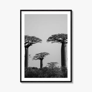 Impresión de póster fotográfico de Madagascar, arte mural en blanco y negro de Madagascar, fotografía mural de Madagascar, viajes a Madagascar, póster de mapa