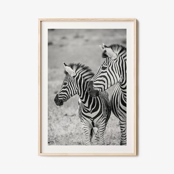 Zebra Photo Poster Print No 2, Zebra Black and White Wall Art, Zebra Wall Photography, Zebra Travel, Zebra Map Poster