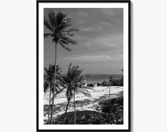 Fotografía artística en blanco y negro de Barbados, póster caribeño para decoración de pared.
