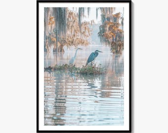 Louisiana Fine Art Photo Print, United States Poster Wall Decor