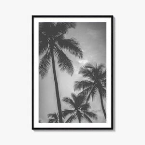 Kalifornien Foto Poster Druck Nr. 5, Kalifornien schwarz weiß Kunst, Kalifornien Fotografie, Reise, Kalifornien Karte Poster