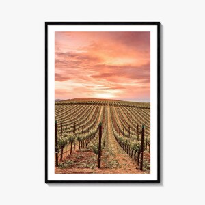 Napa Valley kleurrijke poster print nr. 1, Napa Valley fotomuur kunst, Napa Valley decor, reizen print, Napa Valley stratenplan poster, stadsplattegrond